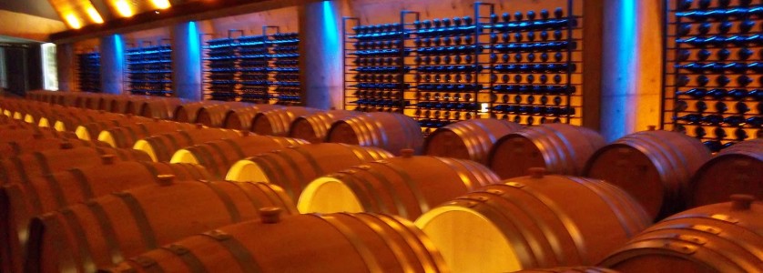Amayna wine cellar