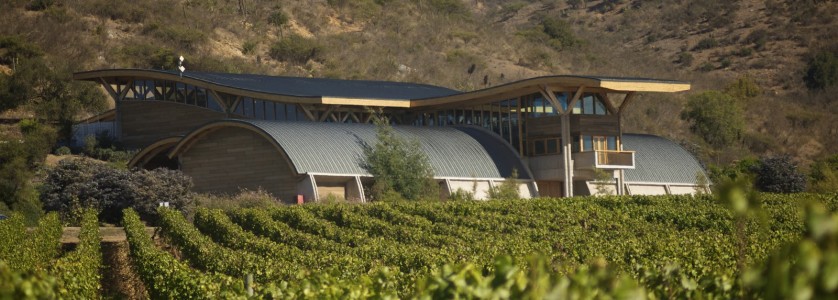 Garcés Silva Winery - Amayna wines
