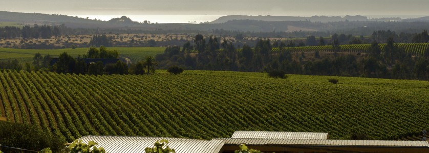 Looking west to the sea from Garcés Silva winery building