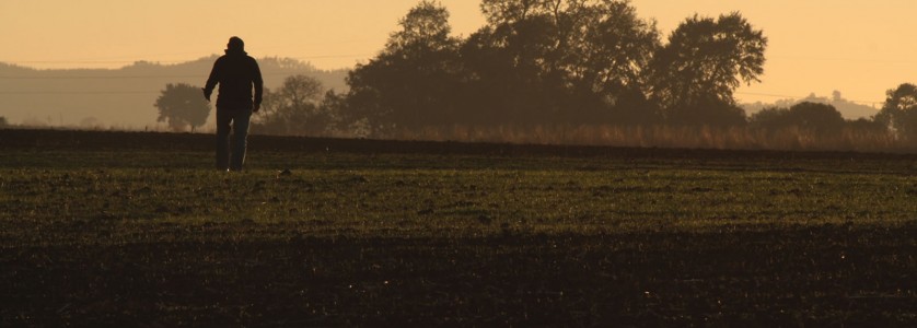 William Fèvre land for planting preparation