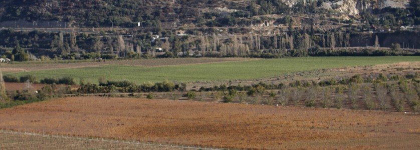 William Fèvre vineyards