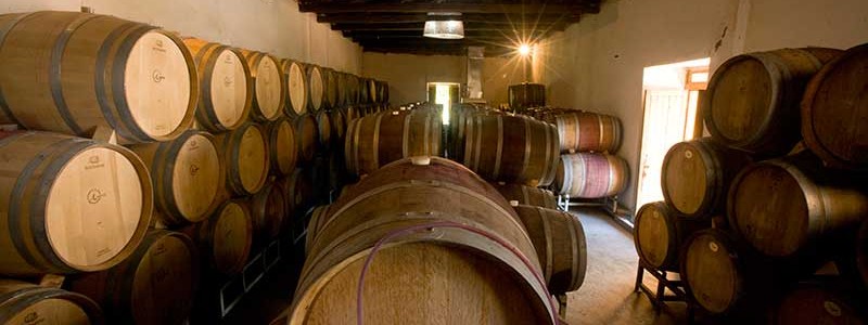 I Wines oak barrels cellar