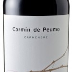 Concha y Toro – Carmín de Peumo