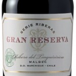 Concha y Toro Gran Reserva Malbec Bottle
