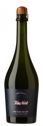 Terranoble_Brut_Nature_Pinot_Noir