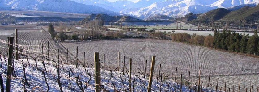 Aconcagua Valley vineyards in winter
