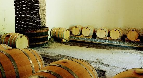 Las Pitras Cellar partial view