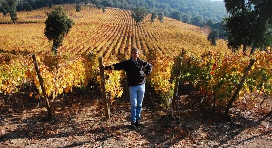 Las Pitras Majadilla vineyards at autumn 