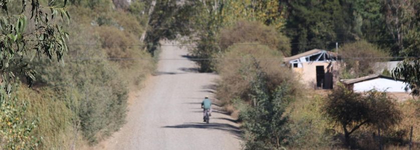 Tinto de Rulo on the road